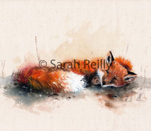 Sleepy Mr Fox by Sarah Reilly, Suffolk Artist, Love Country by Sarah Reilly