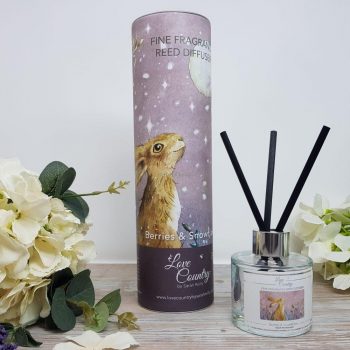 Christmas Fine Fragrance Reed Diffusers