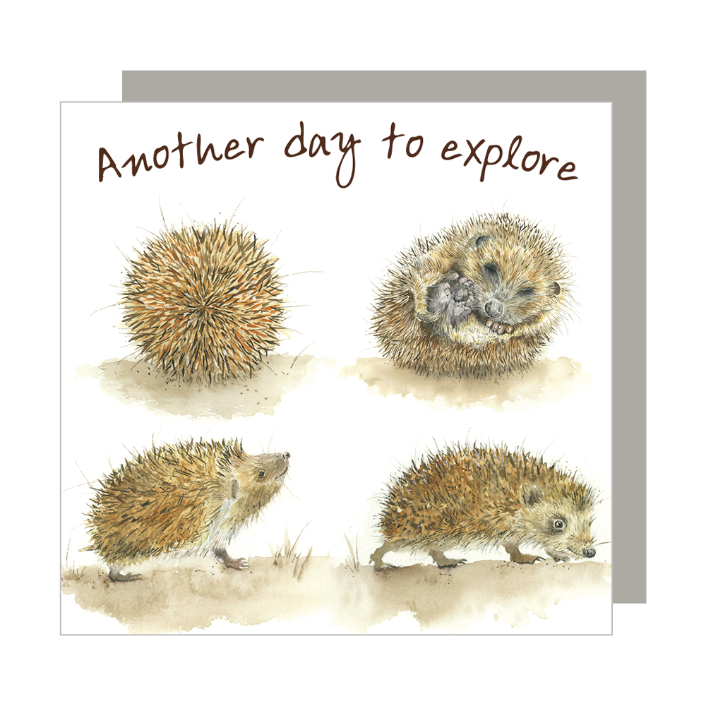 Another Day To Explore Greeting Card Love Country By Sarah Reilly